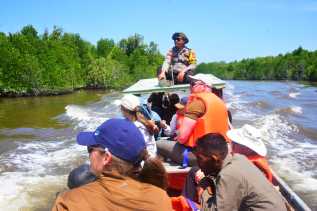 Pulau Bengkalis Jadi Ruang Belajar Konservasi Mangrove Nasional dan Global