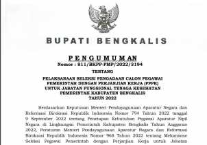 Pengumuman, Pemkab Bengkalis Buka Penerimaan PPPK Tenaga Kesehatan, Berikut Persyaratannya