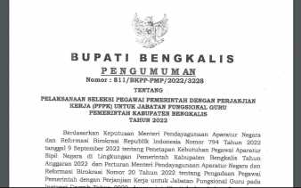 Kabar Gembira! Pendaftaran PPPK Guru di Bengkalis Dibuka, Kuota 1.987 Orang