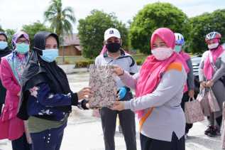 Berikan Semangat Kepada Petugas  Covid di Balai Diklat, DWP Bengkalis Beri Bingkisan