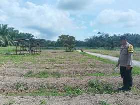 Dukung Ketahanan Pangan, Bhabinkamtibmas Polsek Bengkalis Cek Lahan Jagung Pipil di Desa Pematang Duku