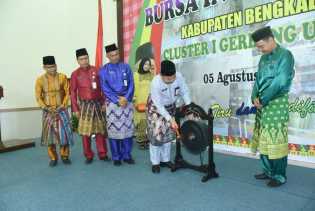 Pada Bursa Inovasi Desa Cluster I, Bupati Minta Peserta Tiru dan Implementasikan Inovasi Sesuai Desanya