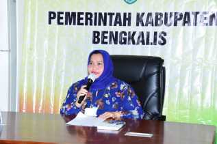 Kasmarni, Sampaikan Gambaran Umum Tentang Kabupaten Bengkalis Secara Virtual