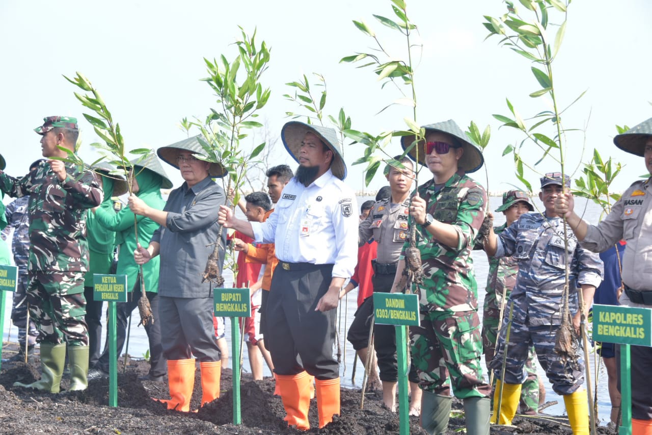 Bupati Kasmarni Sambut Baik, Kegiatan Penghijauan dan Penanaman Mangrove Program Unggulan Kasad TNI AD