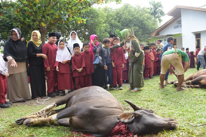 Rayakan Idul Adha 1440 H, Pegawai Pemkab Bengkalis Bagikan 46 Sapi dan 17 Kambing