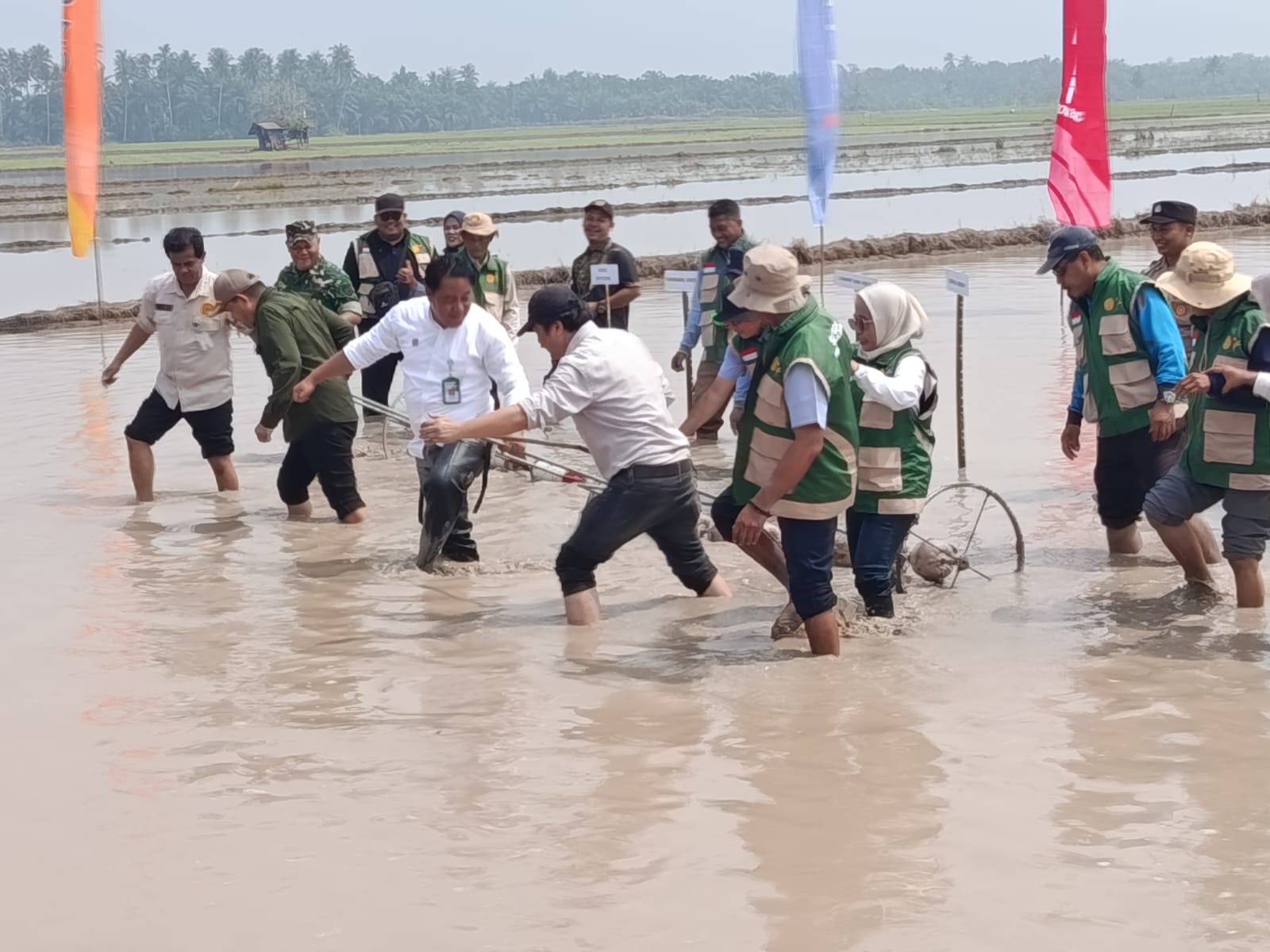 Bengkalis Dukung Percepatan Swasembada Pangan melalui Gerakan Tanam dan PM-AAS
