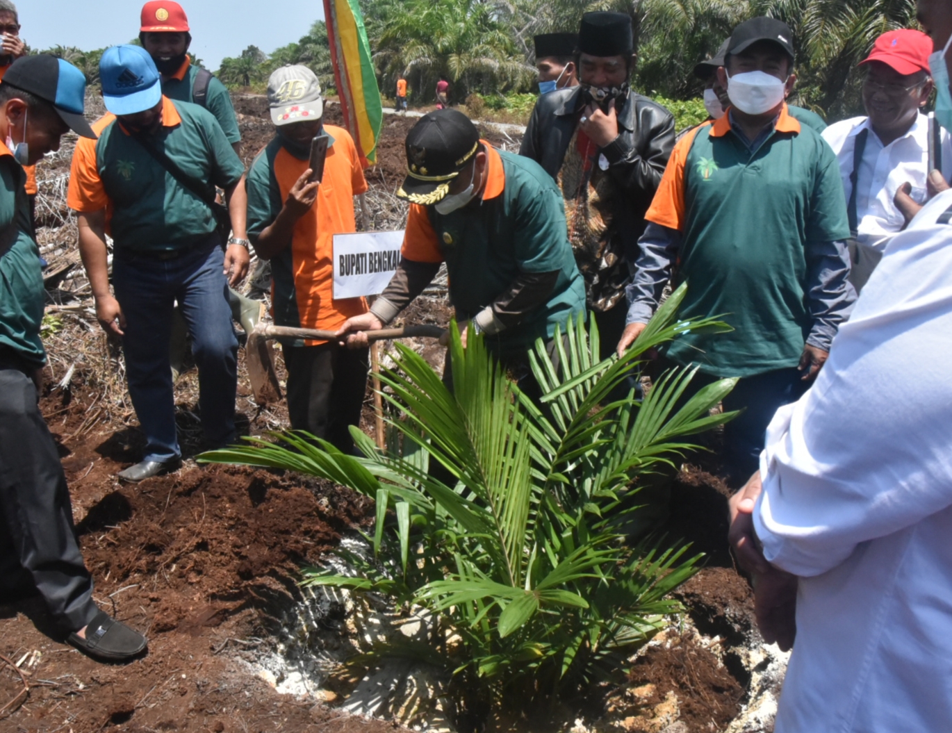 Bupati Bengkalis Tanam Perdana Kelapa Sawit Program PKSP di Desa Sumber Jaya