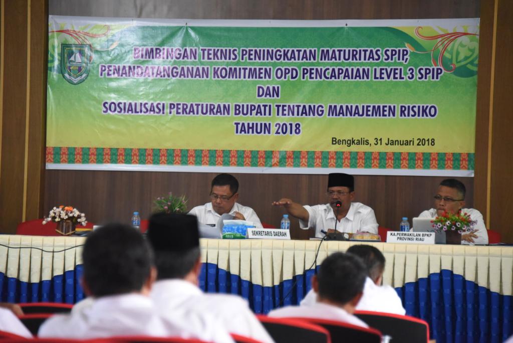 Maret, Ditargetkan Maturitas SPIP di Level 3