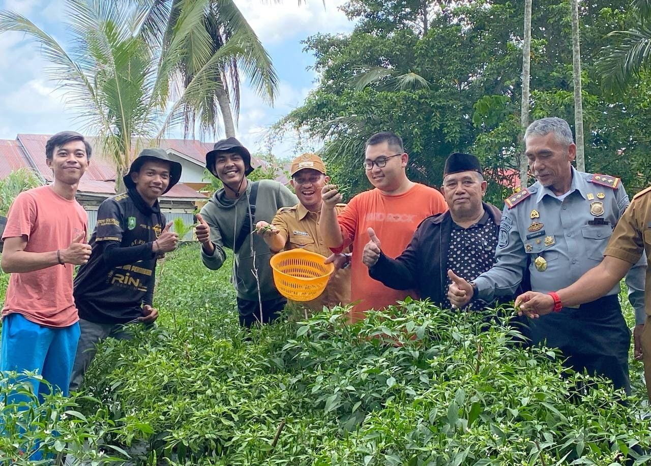 Wabup Bagus Santoso Panen Cabai Komunitas Mahasiswa Petani Milineal 