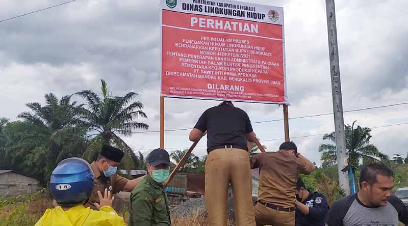 Pemkab Bengkalis Perintahkan PT. SIPP Hentikan Seluruh Aktivitas Operasional dan Produksi