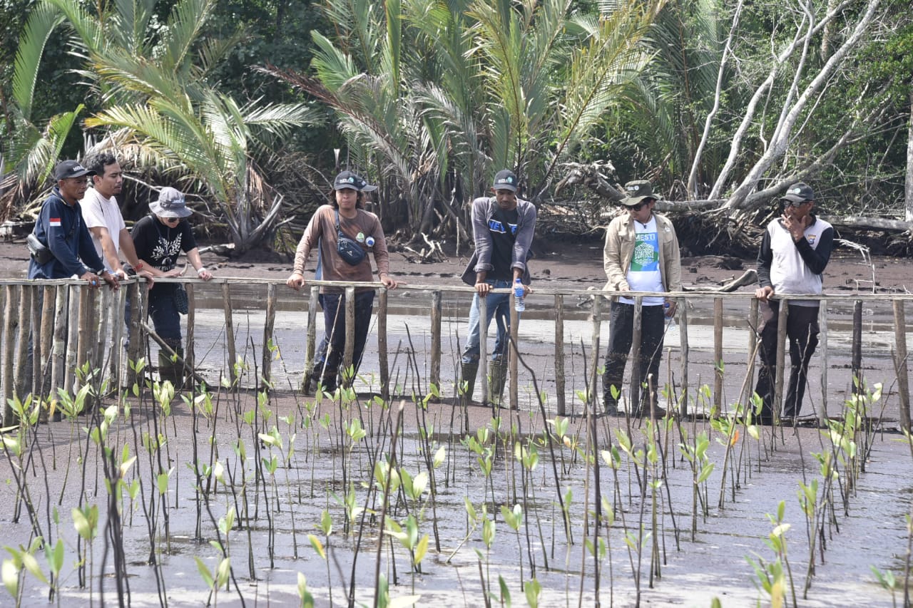 6 Kelompok Restorasi Mangrove Desa Teluk Pambang, Berhasil Bibitkan Mangrove Dengan Metode Patok Rumpun
