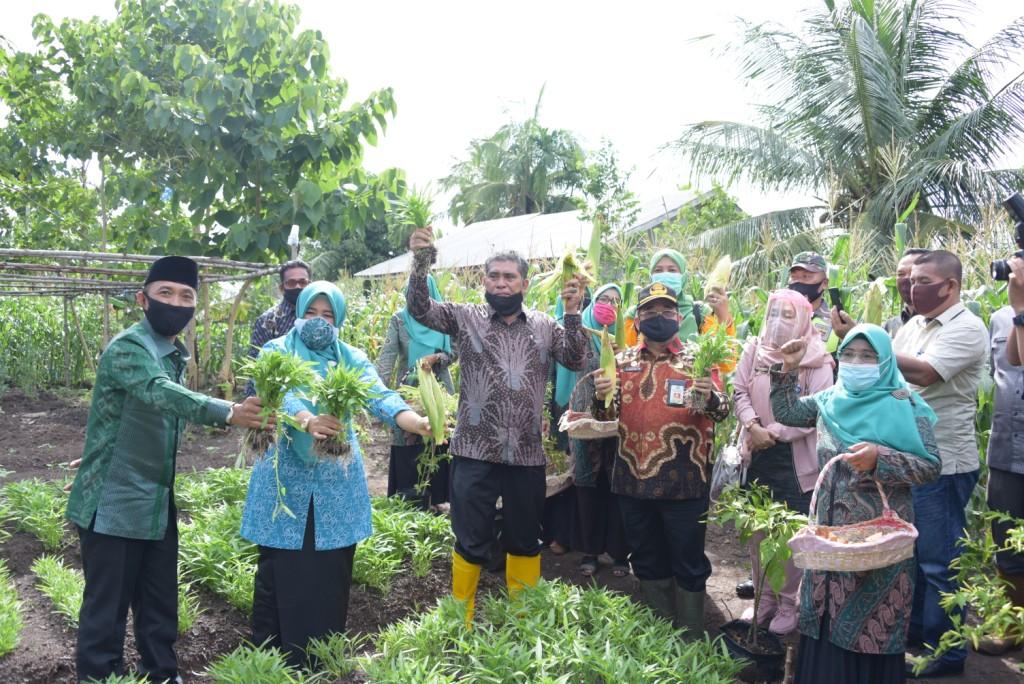 KWT Putri Hijau Desa Pangkalan Batang Wakili Riau Dalam Penialan P2L