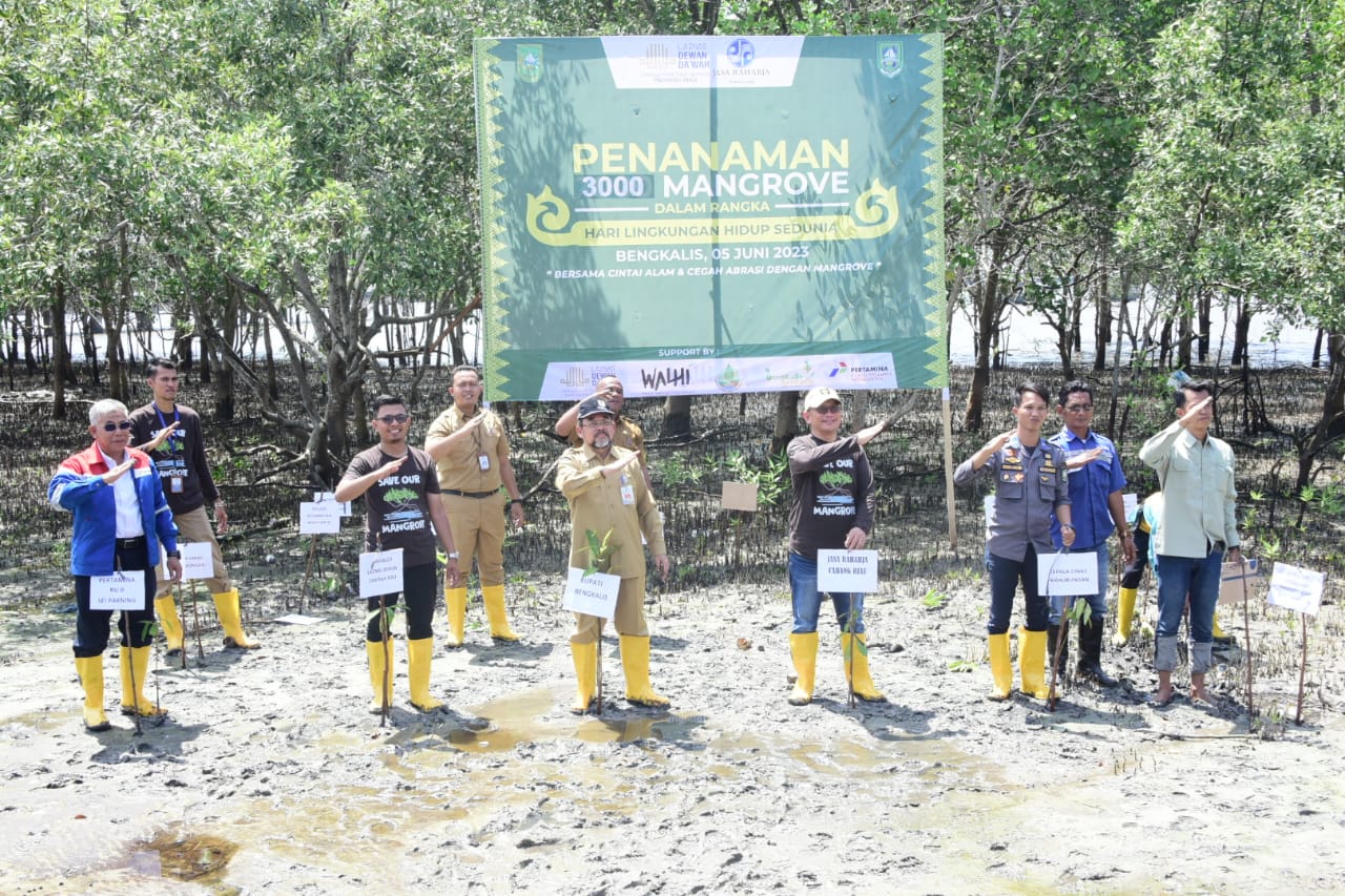 Guna Lestarikan dan Cegah Abrasi, Bupati Kasmarni Buka Talk Show Penanaman 3000 Mangrove