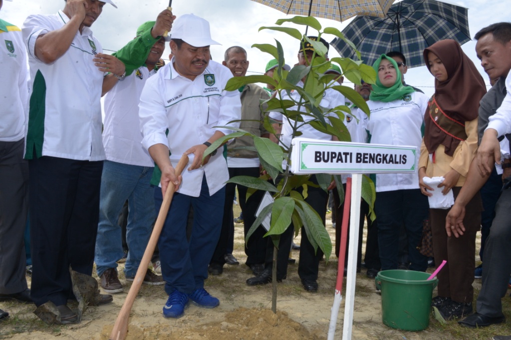 Bupati Amril Ajak Warganya Jadikan Menanam Pohon sebagai Budaya