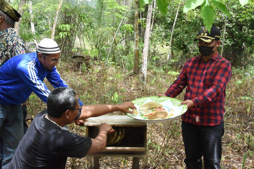 Wakili Bupati Bengkalis Bagus Santoso hadiri Panen Madu Lebah Di Kembung Luar