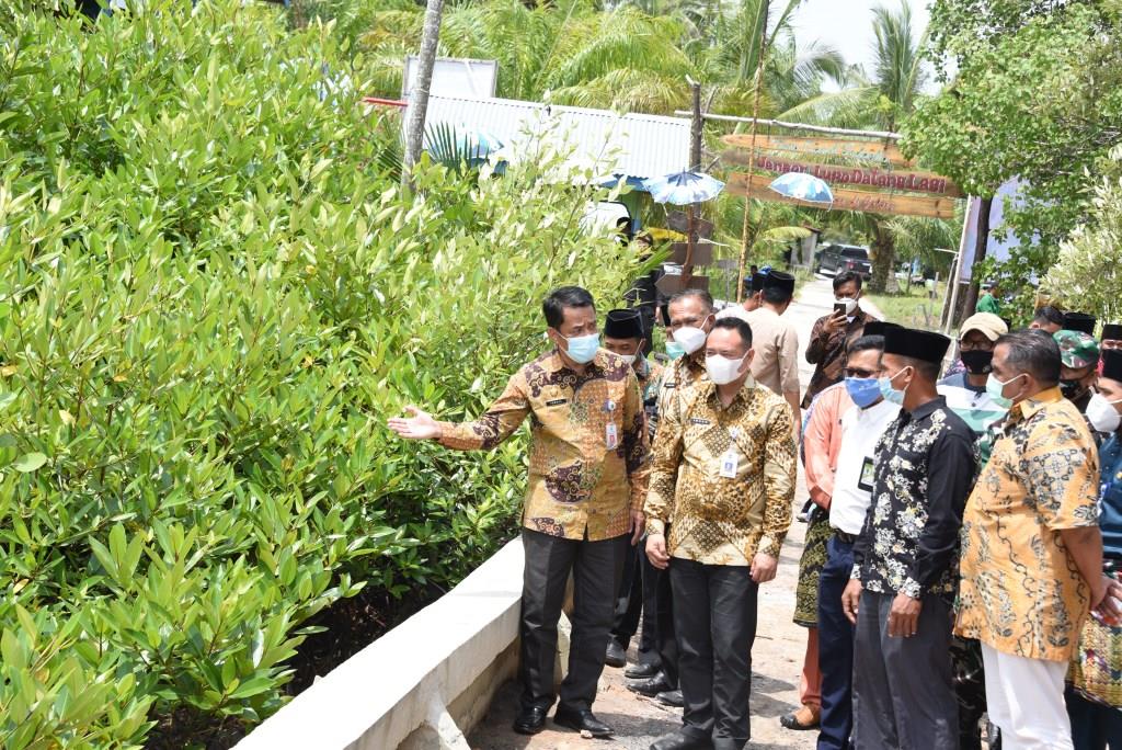 Plt. Asisten I Bengkalis Dampingi Irsan, Tinjau Mangrove di Pangkalan Jambi