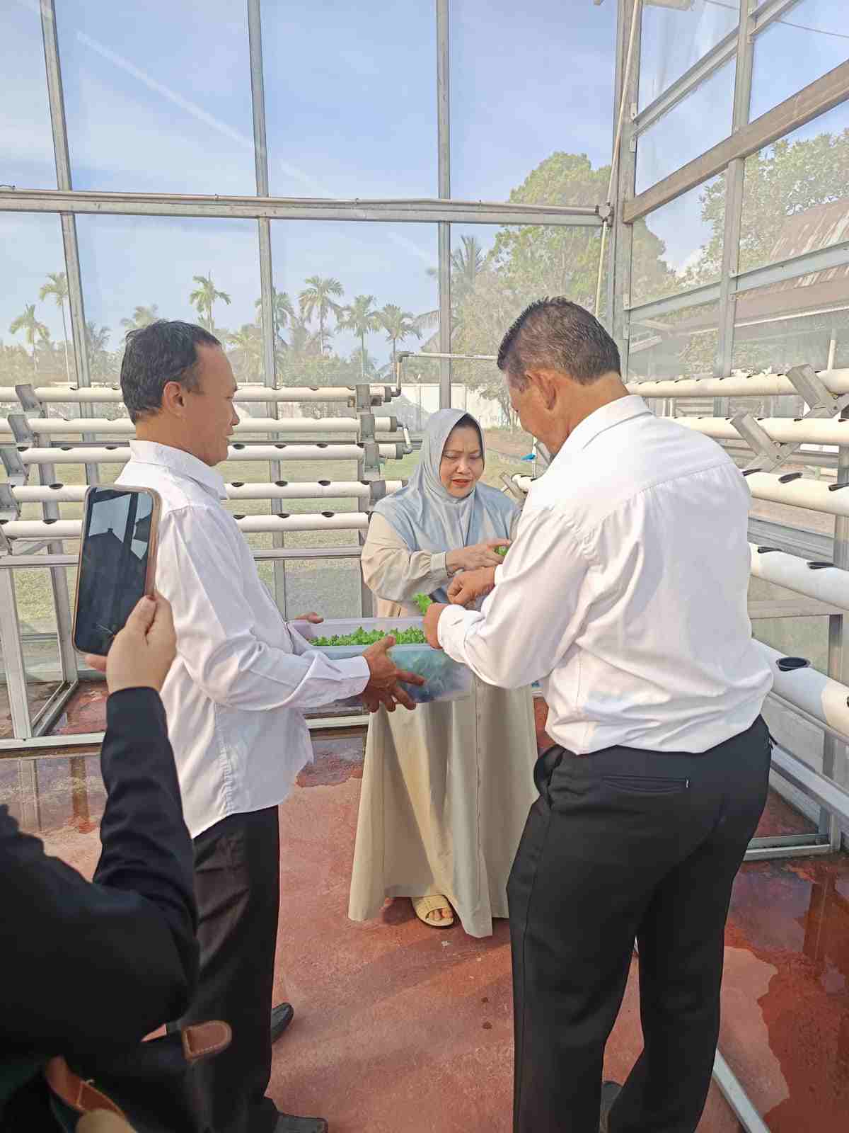 Bupati Hj. Kasmarni Ajak Warga Manfaatkan Pekarangan Rumah Tanam Aneka Sayuran