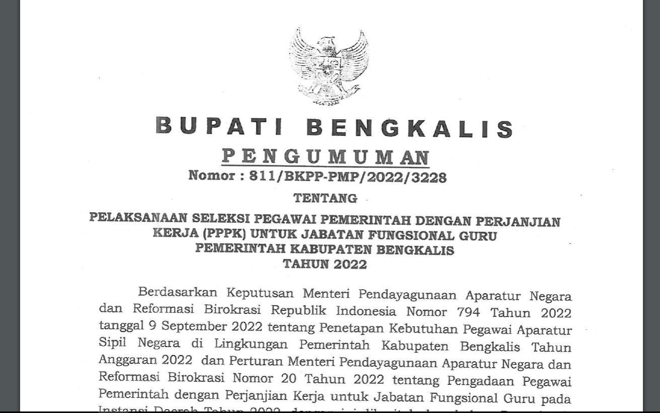 https://diskominfotik.bengkaliskab.go.id/asset/berita/original/91013990119-pengumuman-pppk-guru.jpg