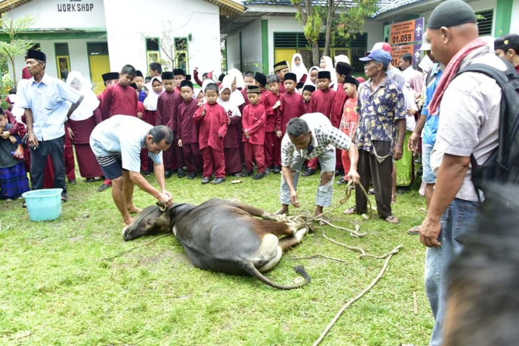  Tanamkan Semangat Berbagi, SDN 1 Bengkalis Potong 2 Sapi dan 1 Kambing