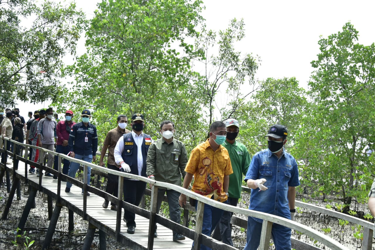 Syamsuar: Mangrove Pangkalan Jambi Tidak Kalah Saing Dengan Ekowisata Mangrove Lainnya di Riau